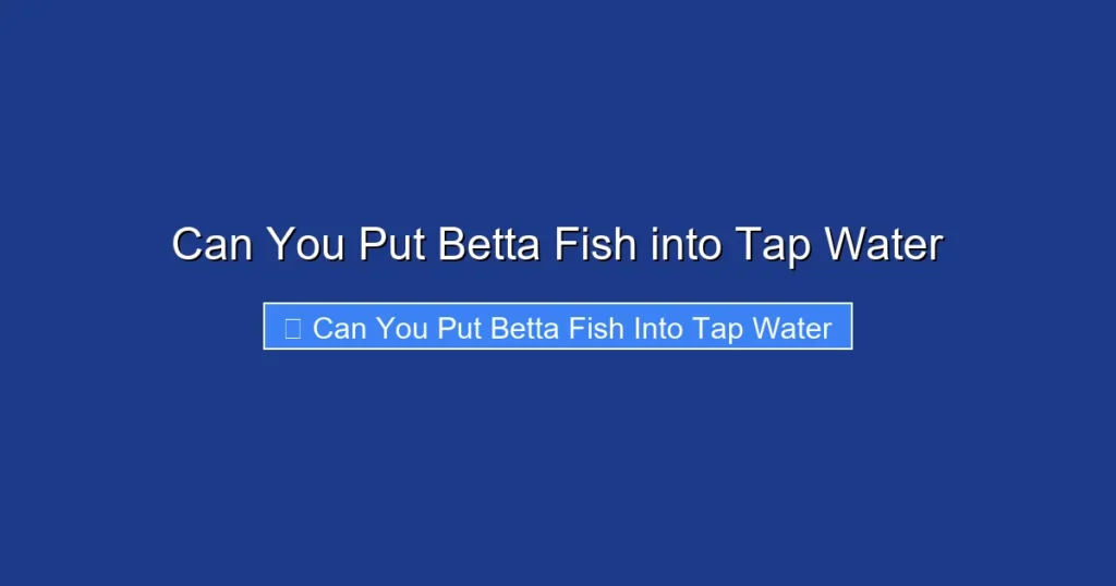 Can You Put Betta Fish into Tap Water