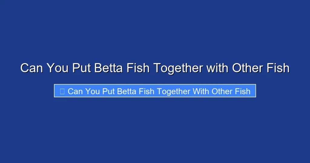 Can You Put Betta Fish Together with Other Fish