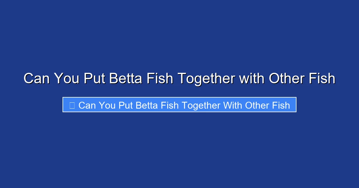Can You Put Betta Fish Together with Other Fish