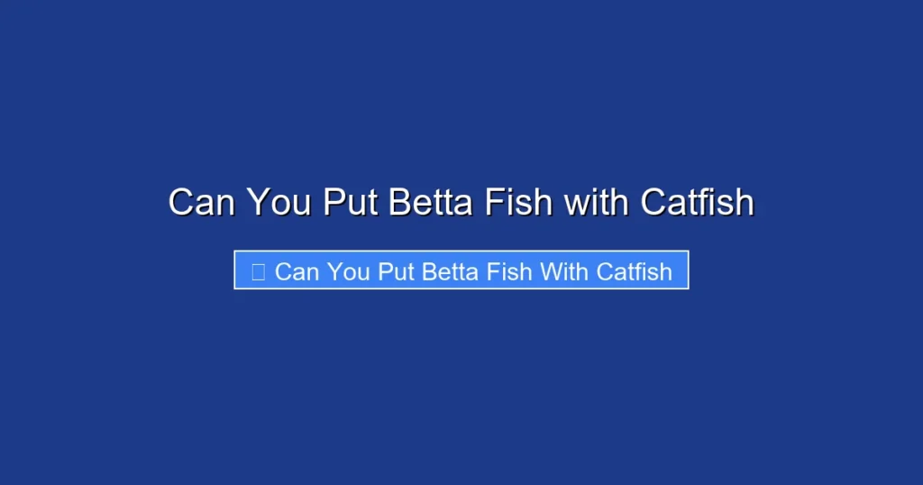 Can You Put Betta Fish with Catfish