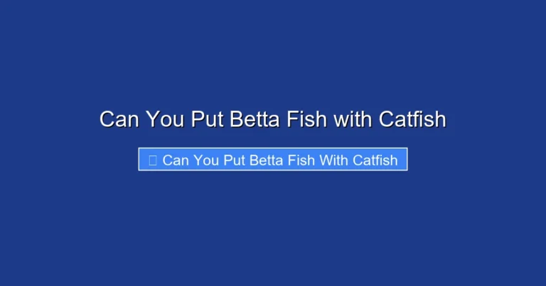 Can You Put Betta Fish with Catfish