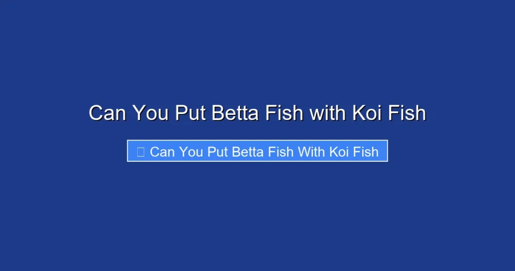 Can You Put Betta Fish with Koi Fish
