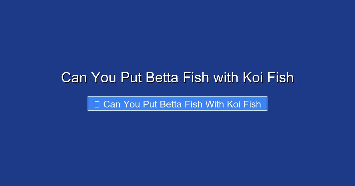Can You Put Betta Fish with Koi Fish