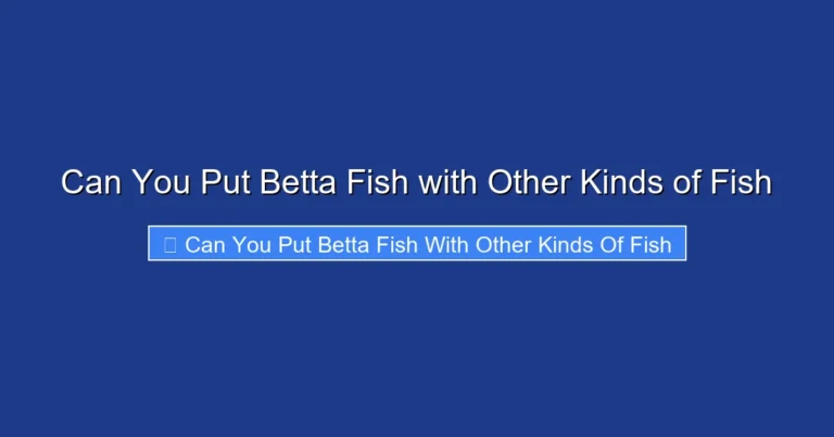Can You Put Betta Fish with Other Kinds of Fish