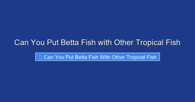 Can You Put Betta Fish with Other Tropical Fish