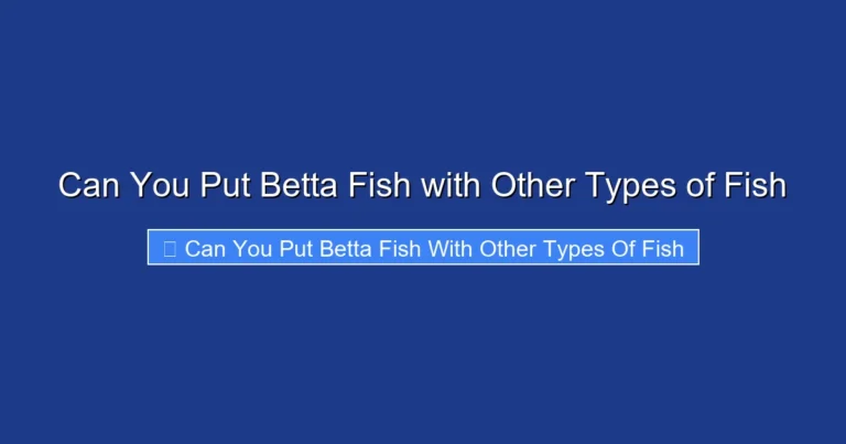 Can You Put Betta Fish with Other Types of Fish