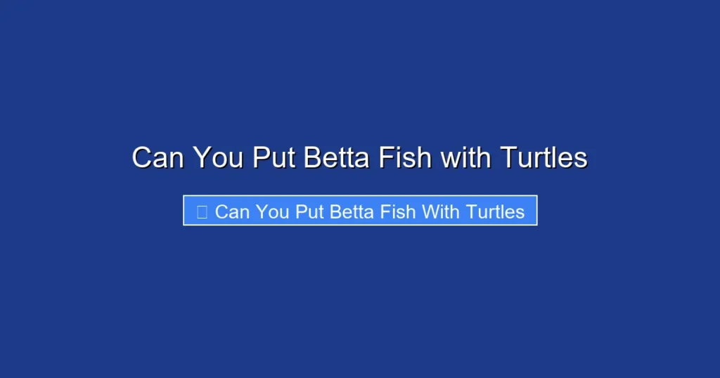 Can You Put Betta Fish with Turtles