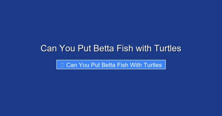 Can You Put Betta Fish with Turtles