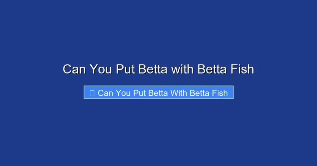 Can You Put Betta with Betta Fish