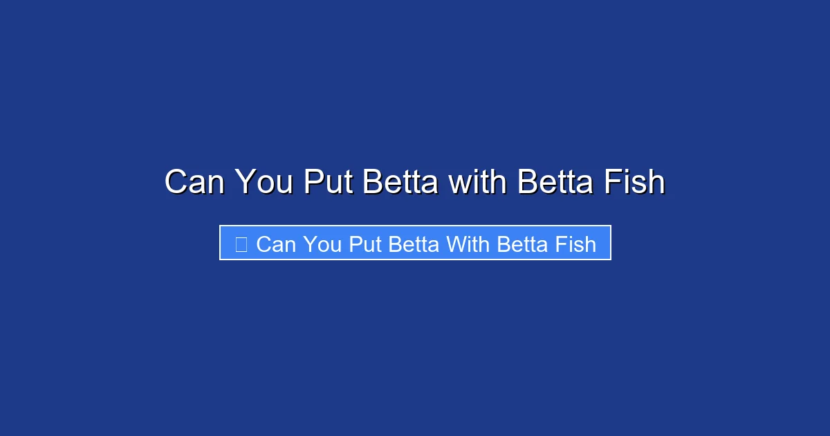 Can You Put Betta with Betta Fish