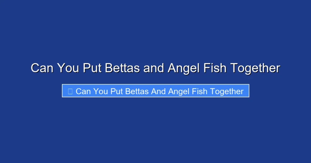 Can You Put Bettas and Angel Fish Together
