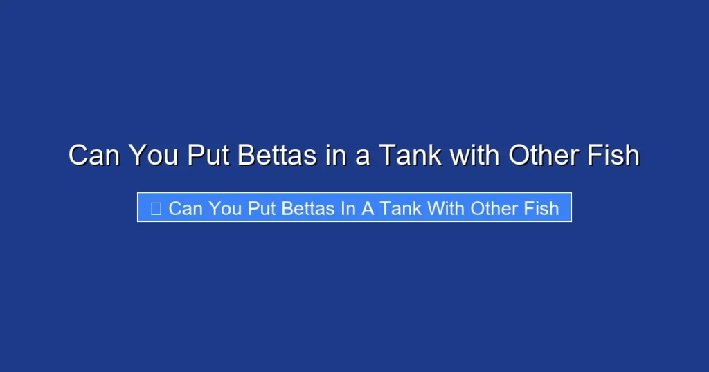 Can You Put Bettas in a Tank with Other Fish