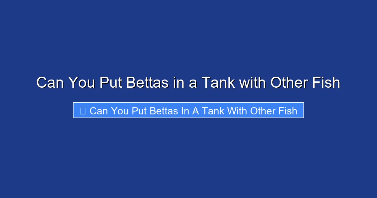 Can You Put Bettas in a Tank with Other Fish