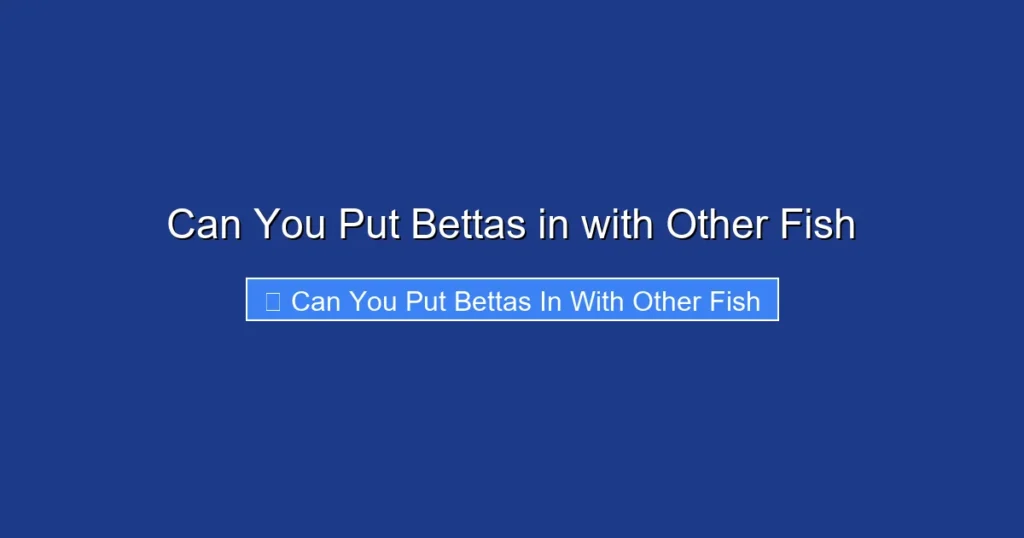 Can You Put Bettas in with Other Fish