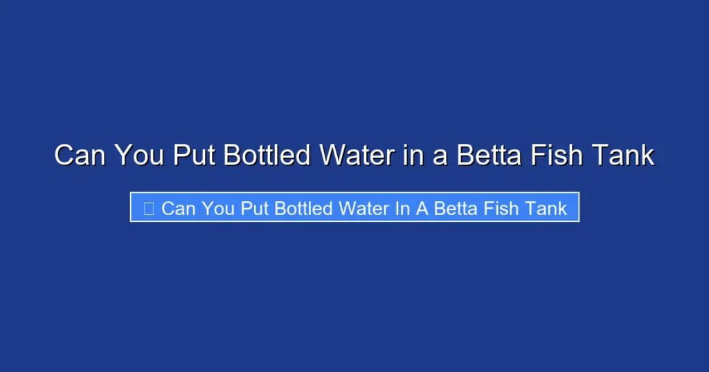 Can You Put Bottled Water in a Betta Fish Tank