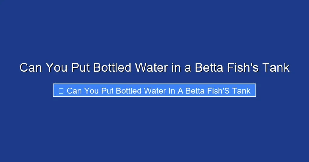 Can You Put Bottled Water in a Betta Fish's Tank