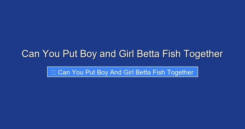 Can You Put Boy and Girl Betta Fish Together