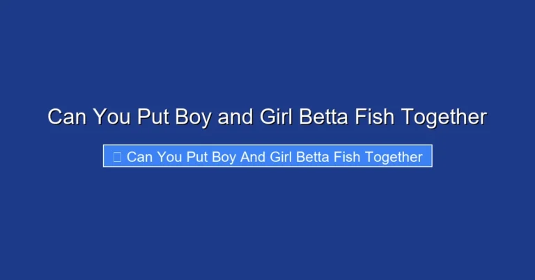 Can You Put Boy and Girl Betta Fish Together