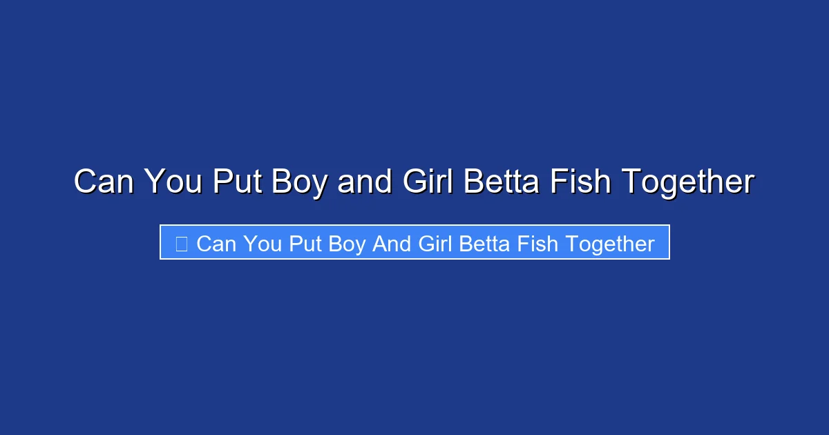Can You Put Boy and Girl Betta Fish Together