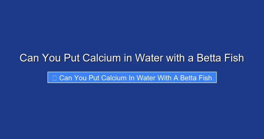 Can You Put Calcium in Water with a Betta Fish