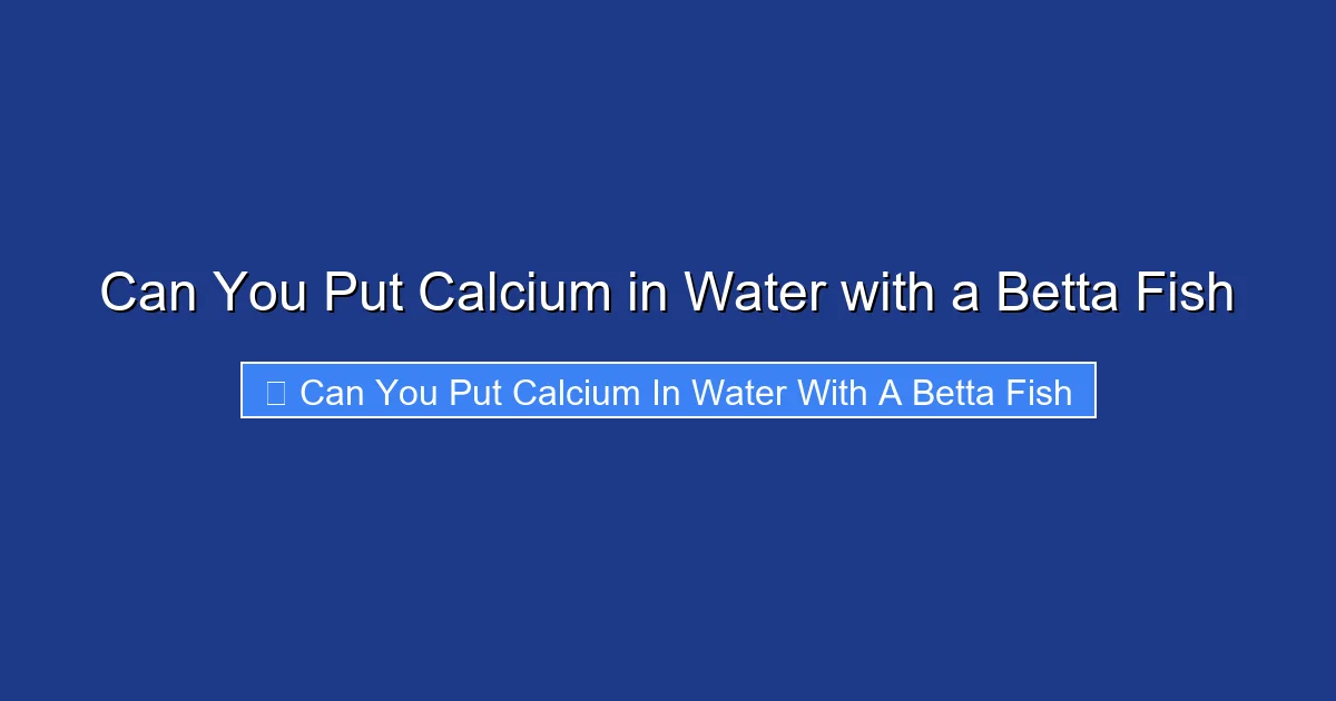 Can You Put Calcium in Water with a Betta Fish
