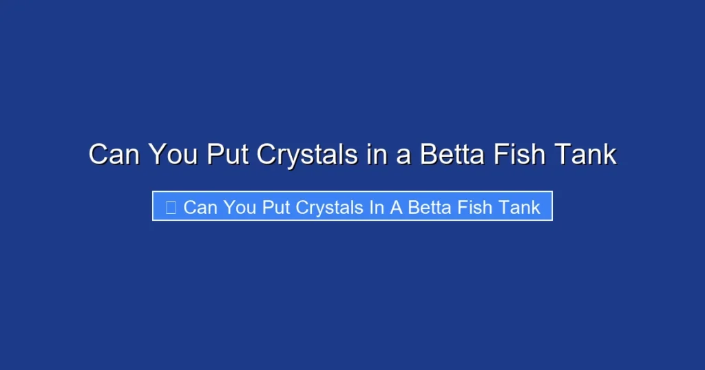 Can You Put Crystals in a Betta Fish Tank