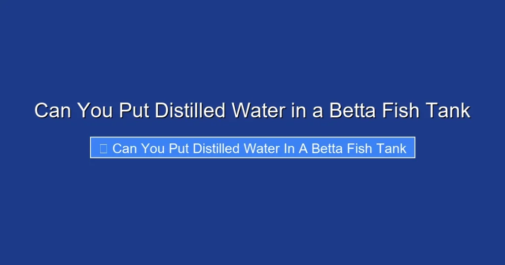 Can You Put Distilled Water in a Betta Fish Tank