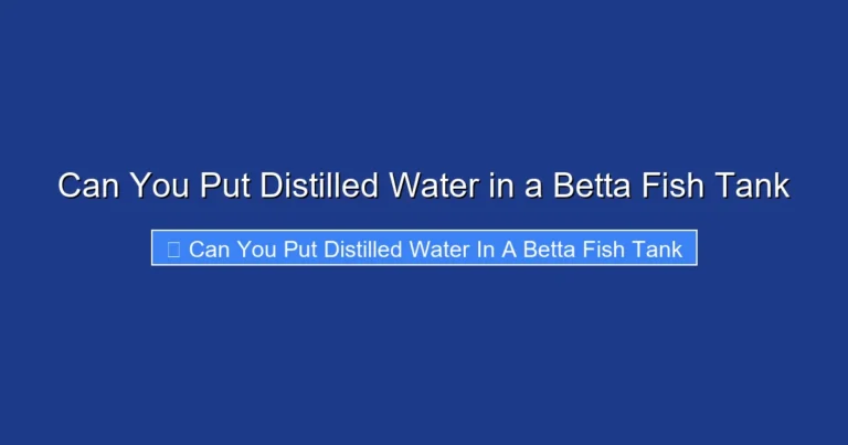 Can You Put Distilled Water in a Betta Fish Tank