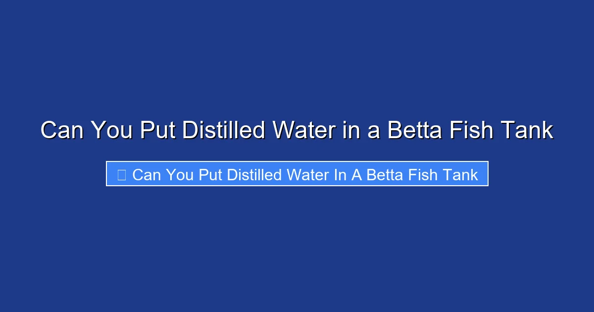 Can You Put Distilled Water in a Betta Fish Tank
