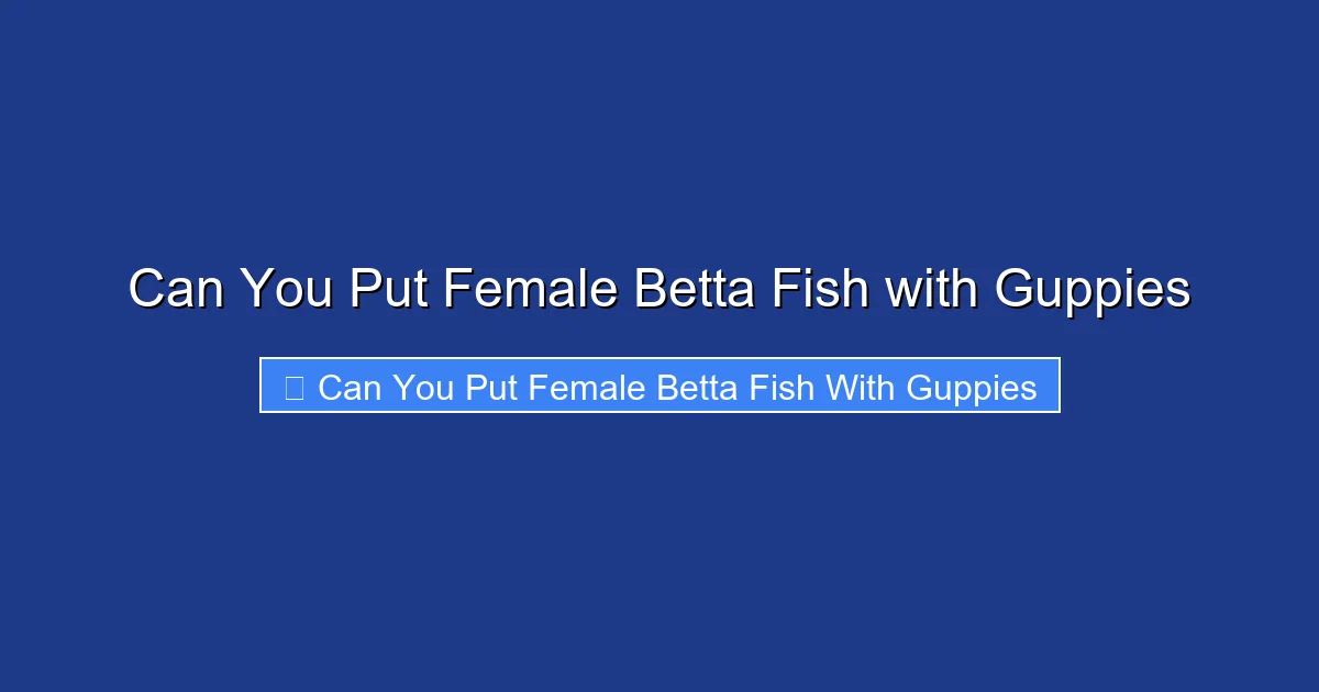 Can You Put Female Betta Fish with Guppies