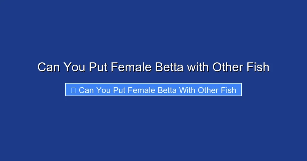 Can You Put Female Betta with Other Fish