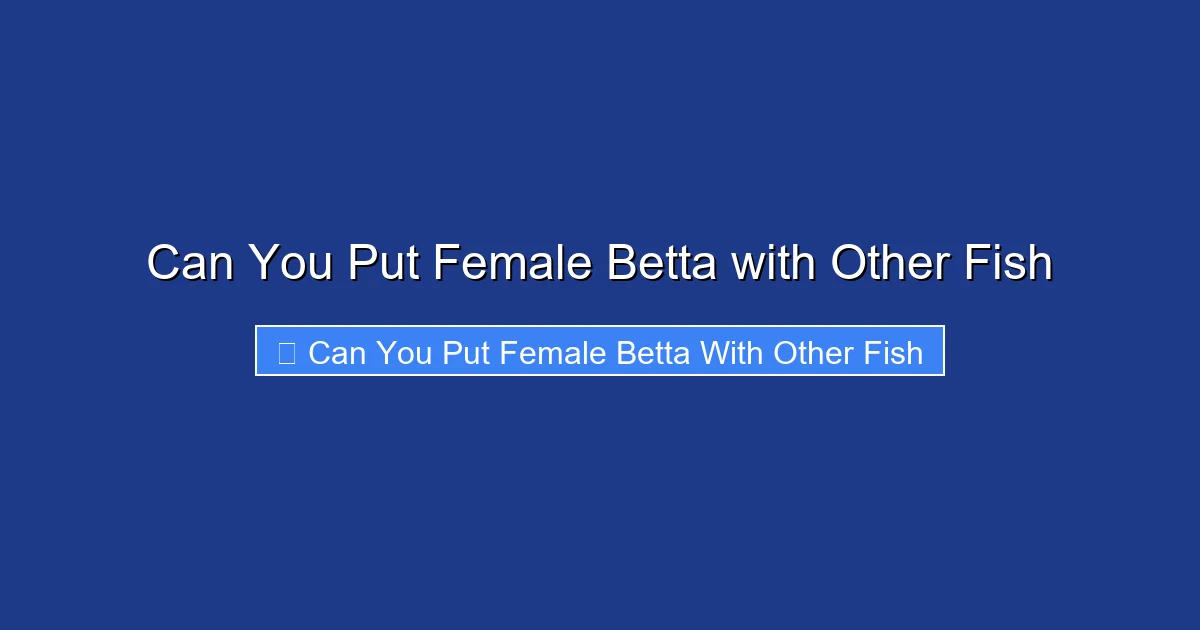 Can You Put Female Betta with Other Fish