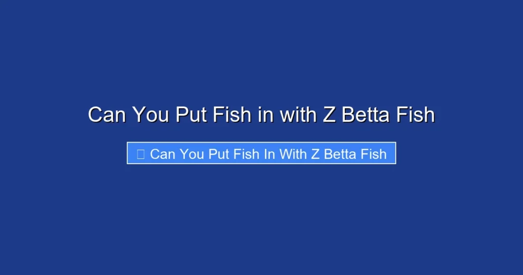 Can You Put Fish in with Z Betta Fish