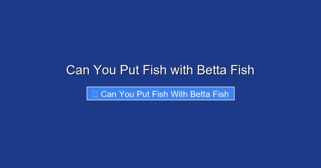 Can You Put Fish with Betta Fish