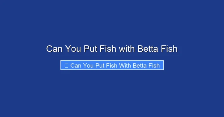 Can You Put Fish with Betta Fish