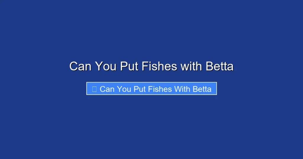 Can You Put Fishes with Betta