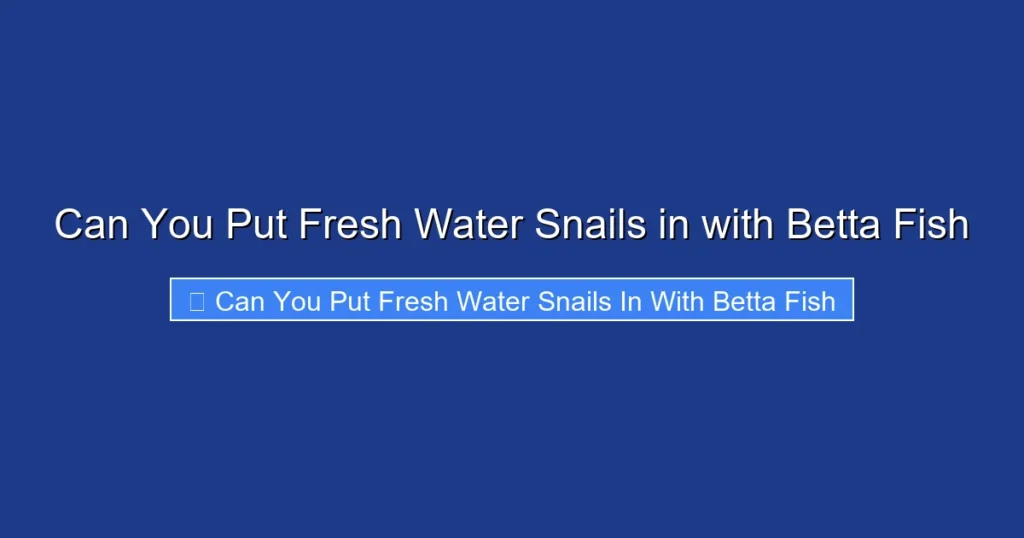 Can You Put Fresh Water Snails in with Betta Fish