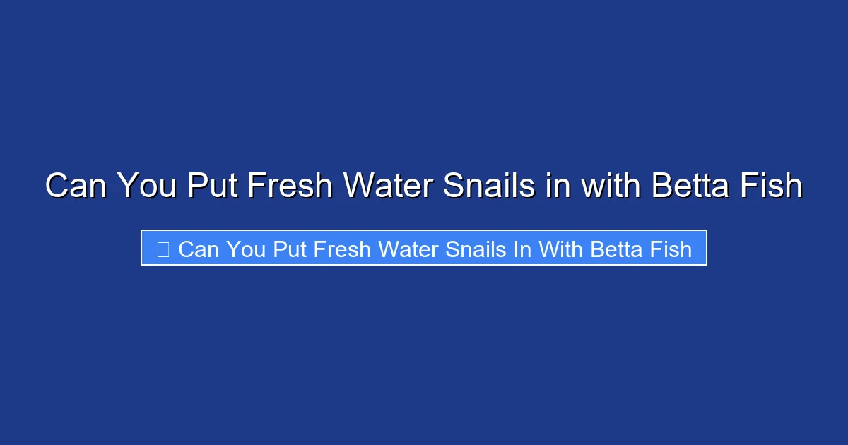 Can You Put Fresh Water Snails in with Betta Fish