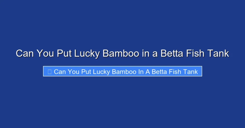 Can You Put Lucky Bamboo in a Betta Fish Tank