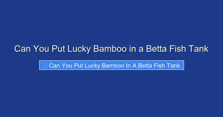 Can You Put Lucky Bamboo in a Betta Fish Tank