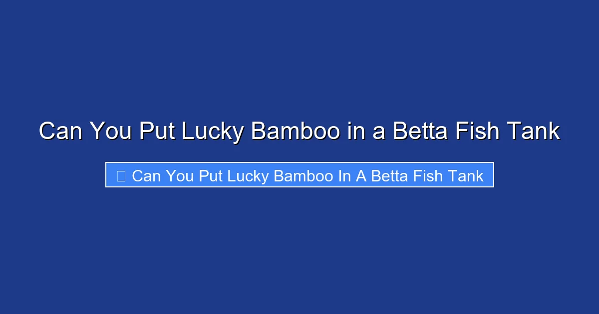 Can You Put Lucky Bamboo in a Betta Fish Tank