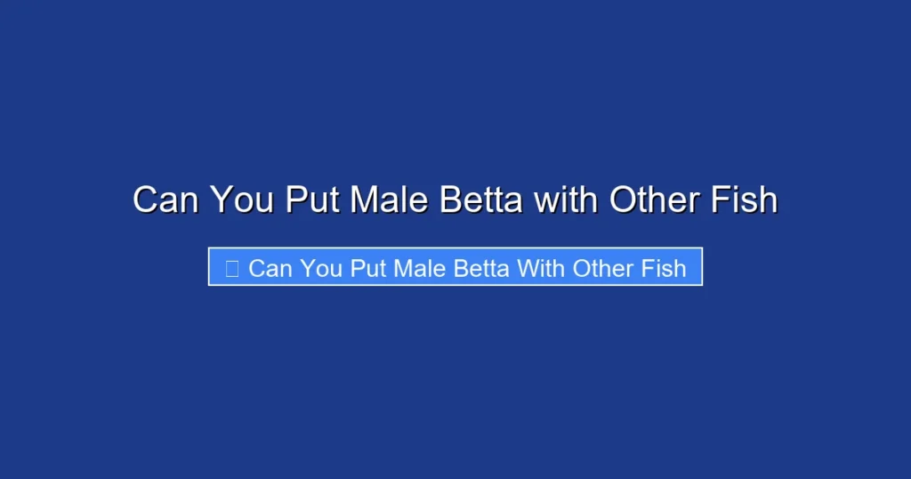 Can You Put Male Betta with Other Fish