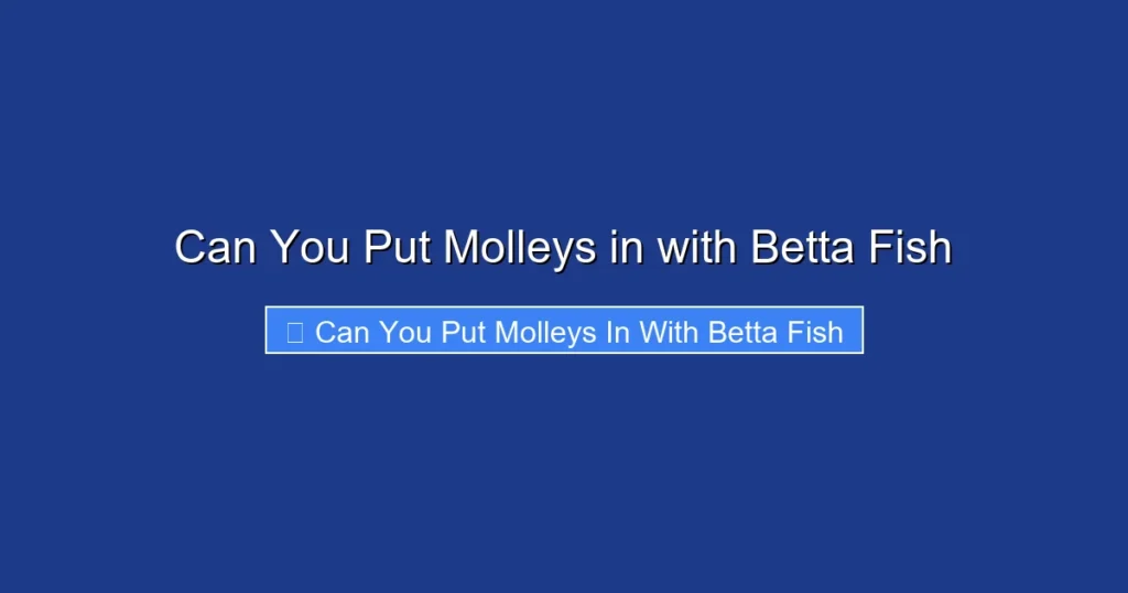 Can You Put Molleys in with Betta Fish