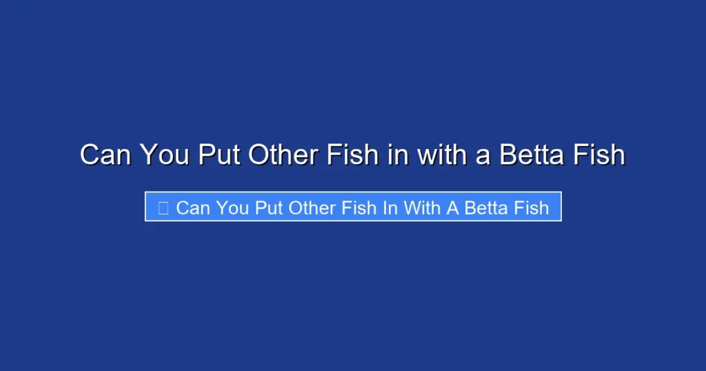 Can You Put Other Fish in with a Betta Fish