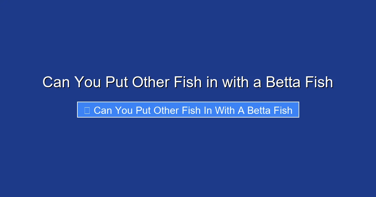 Can You Put Other Fish in with a Betta Fish