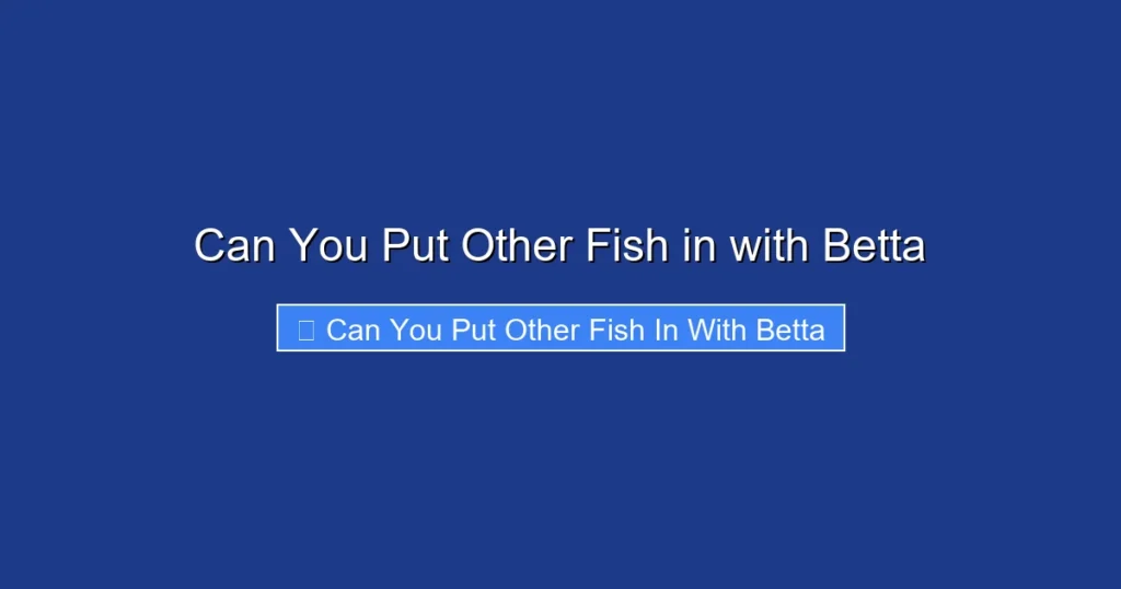 Can You Put Other Fish in with Betta