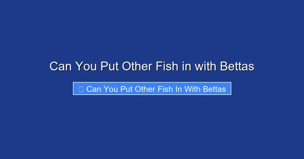 Can You Put Other Fish in with Bettas
