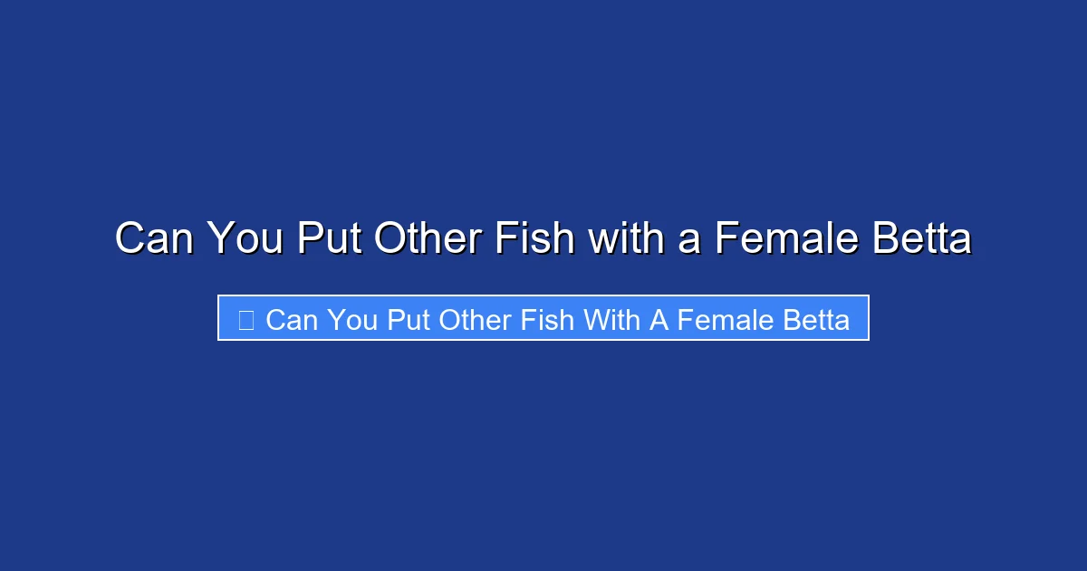 Can You Put Other Fish with a Female Betta