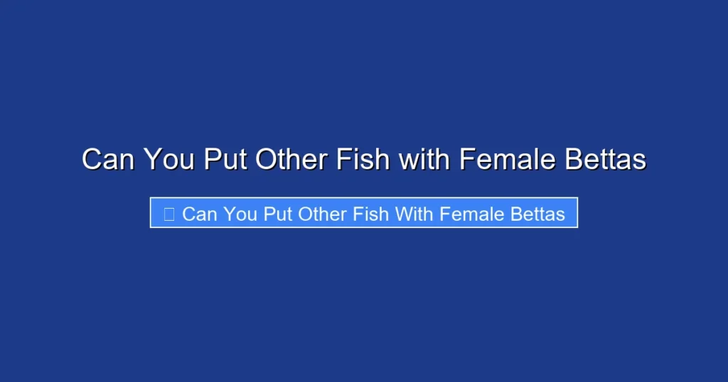 Can You Put Other Fish with Female Bettas