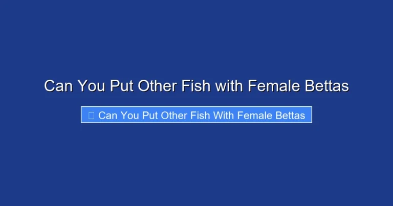 Can You Put Other Fish with Female Bettas